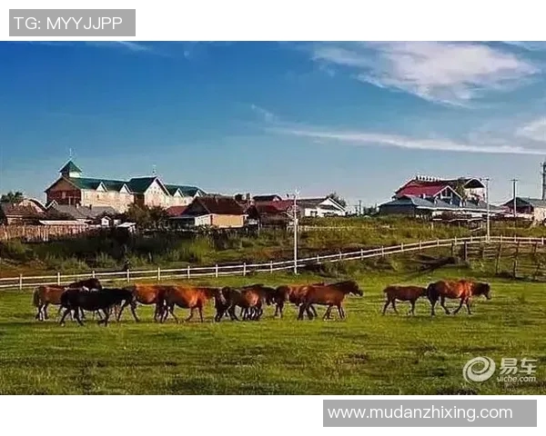 探索埃斯特旺的魅力与历史深度，感受独特文化的魅力与风情